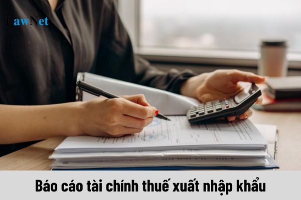 Báo cáo tài chính thuế xuất nhập khẩu là gì?