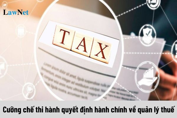 Cá nhân bị cưỡng chế thi hành quyết định hành chính về quản lý thuế trong trường hợp nào?