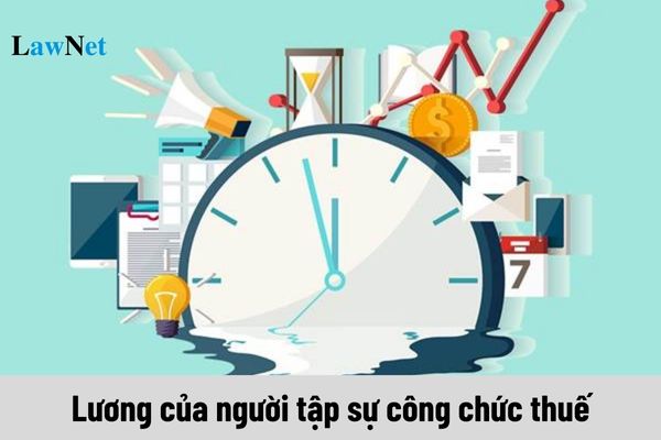 Quy định mới về lương của người tập sự công chức thuế?