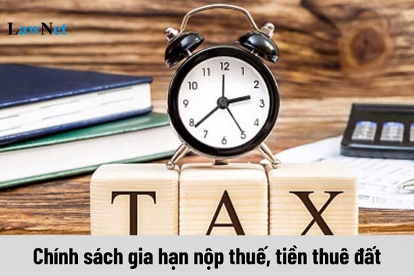 Chính sách gia hạn nộp thuế, tiền thuê đất năm 2024?