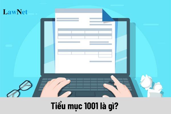 Tiểu mục 1001 là gì? 