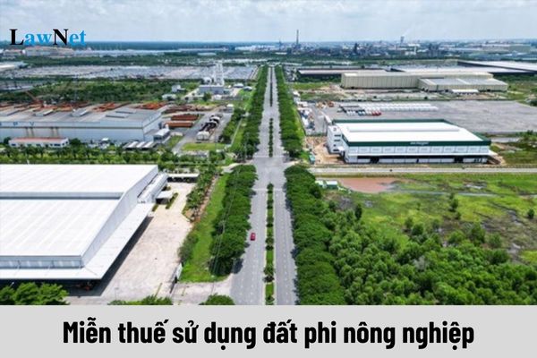 Công ty tuyển dụng lao động dưới 18 tuổi có được miễn thuế sử dụng đất phi nông nghiệp?