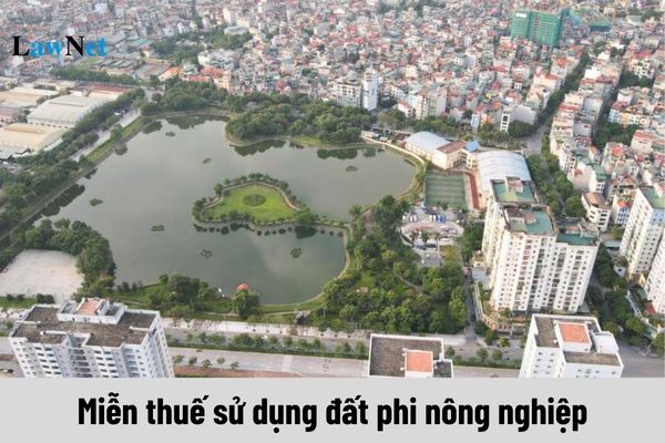 Đất ở trong hạn mức sẽ được miễn thuế sử dụng đất phi nông nghiệp?