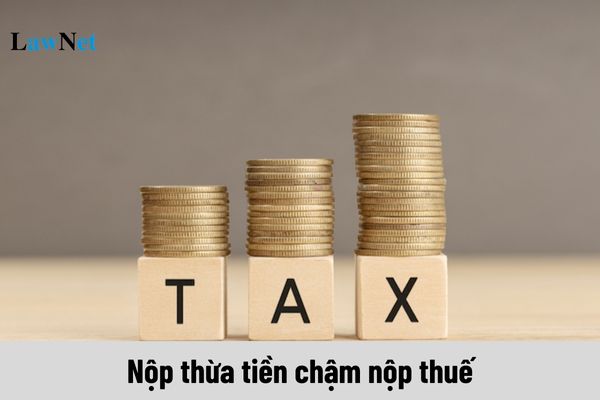 Nộp thừa tiền chậm nộp thuế thì xử lý như thế nào?