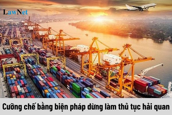 Người nộp thuế bị cưỡng chế bằng biện pháp dừng làm thủ tục hải quan đối với hàng hóa xuất nhập khẩu khi nào?