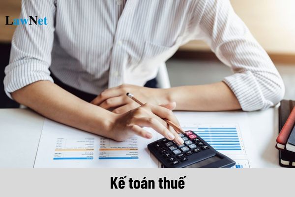 Kế toán thuế là gì? Nguyên tắc hạch toán kỳ kế toán thuế ra sao?