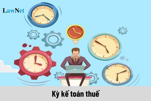 Kỳ kế toán thuế được xác định như thế nào?