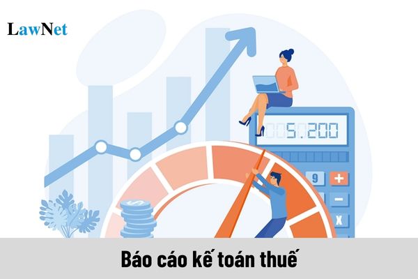 Báo cáo kế toán thuế cần phải đảm bảo những yêu cầu gì?