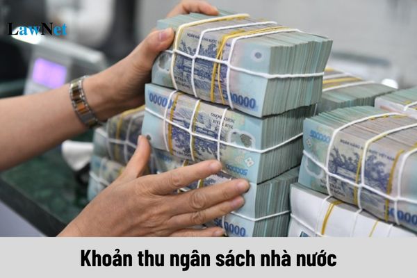 Những khoản thu nào là khoản thu ngân sách nhà nước?