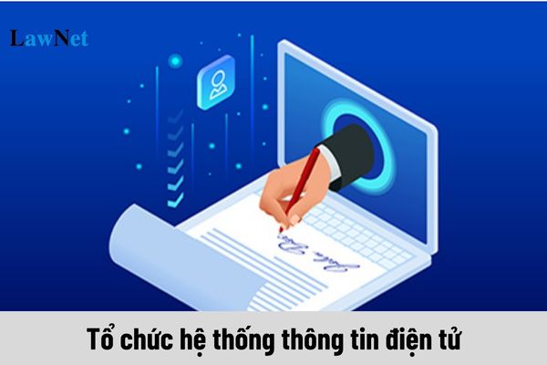 Cơ quan quản lý thuế tổ chức hệ thống thông tin điện tử có trách nhiệm như thế nào?