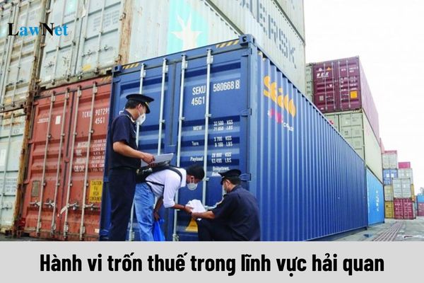 Hành vi trốn thuế trong lĩnh vực hải quan bị xử phạt vi phạm hành chính như thế nào?