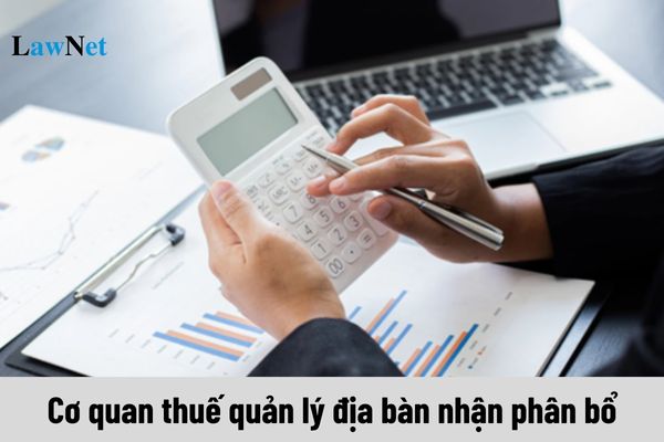 Cơ quan thuế quản lý địa bàn nhận phân bổ là gì?