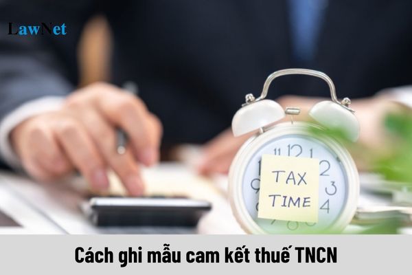 Cách ghi mẫu cam kết thuế TNCN mới nhất theo Mẫu 08/CK-TNCN như thế nào?