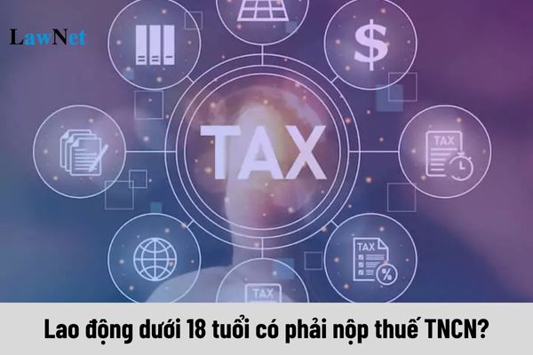 Lao động dưới 18 tuổi có phải nộp thuế thu nhập cá nhân không?