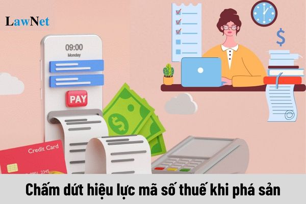 Công ty cổ phần chấm dứt hiệu lực mã số thuế khi phá sản có phải kiểm tra quyết toán thuế không?