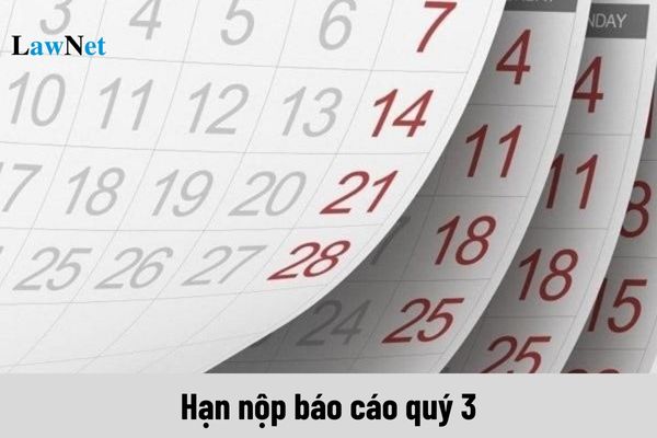 Hỏi đáp Pháp luật