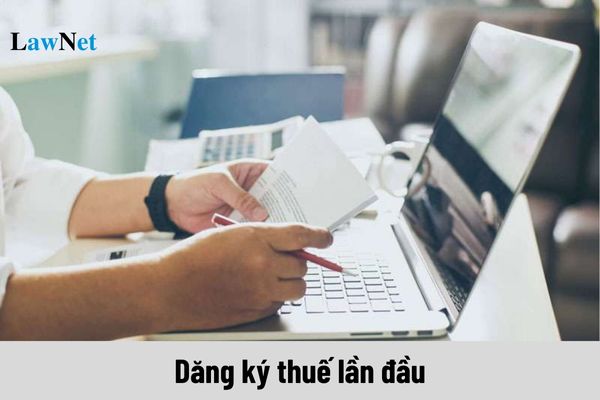 Thời hạn công ty TNHH MTV phải đăng ký thuế lần đầu là bao ngày?