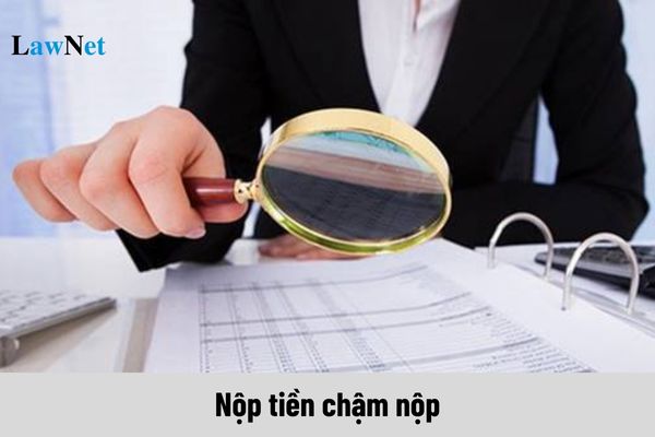 Đã khai bổ sung hồ sơ khai thuế thì có phải nộp tiền chậm nộp không?