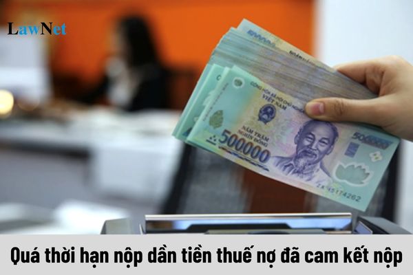 Quá thời hạn nộp dần tiền thuế nợ đã cam kết nộp thì xử lý thế nào?