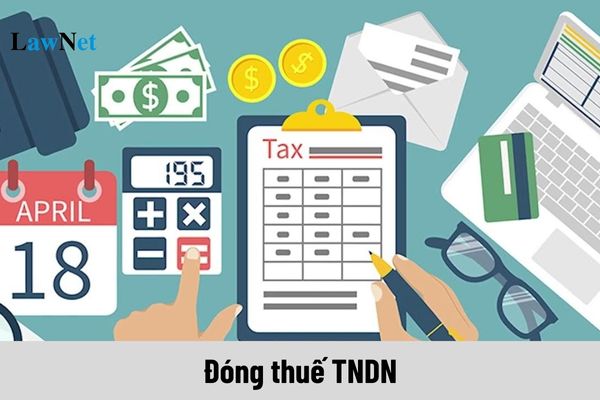 Đóng thuế TNDN khi nào? Thu nhập nào chịu thuế thu nhập doanh nghiệp?