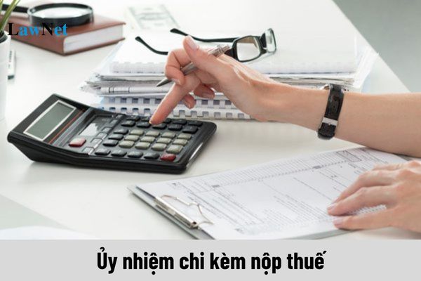 Tải mẫu Ủy nhiệm chi kèm nộp thuế theo Nghị định 11/2020/NĐ-CP mới nhất năm 2025?