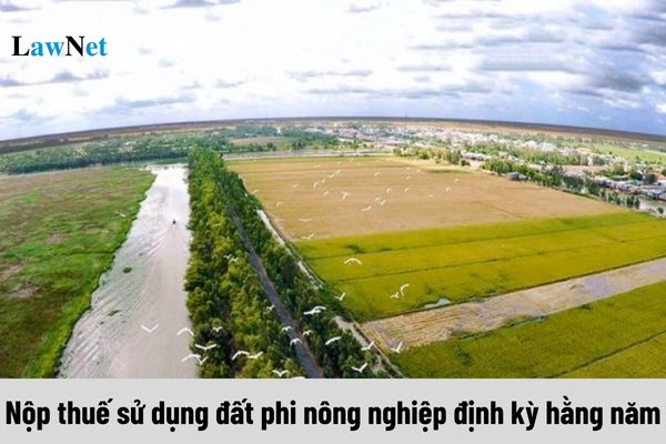 Thời hạn nộp thuế sử dụng đất phi nông nghiệp định kỳ hằng năm là khi nào?