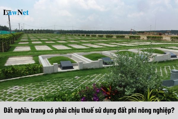 Đất nghĩa trang có phải chịu thuế sử dụng đất phi nông nghiệp không?