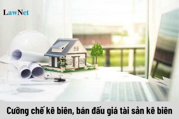 Không áp dụng cưỡng chế kê biên, bán đấu giá tài sản kê biên khi nào?