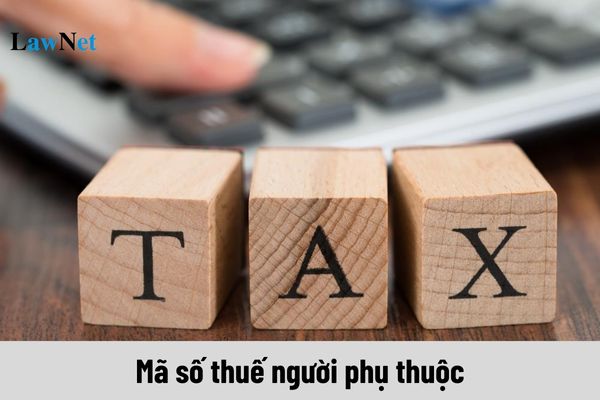 Mã số thuế người phụ thuộc sẽ chuyển sang mã số thuế cá nhân khi nào?