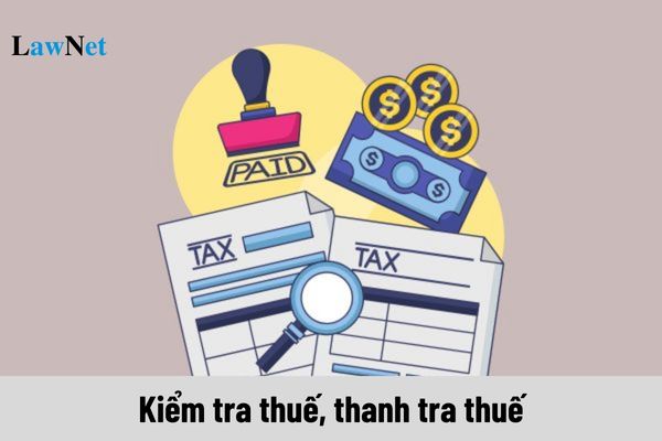 Có bao nhiêu nguyên tắc kiểm tra thuế, thanh tra thuế theo quy định?