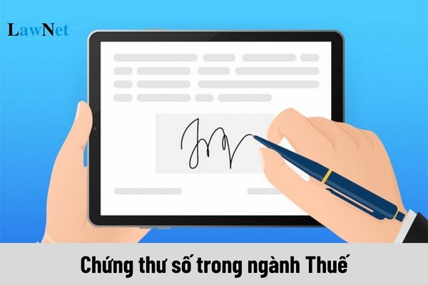 Chứng thư số trong ngành Thuế được phân loại thế nào?