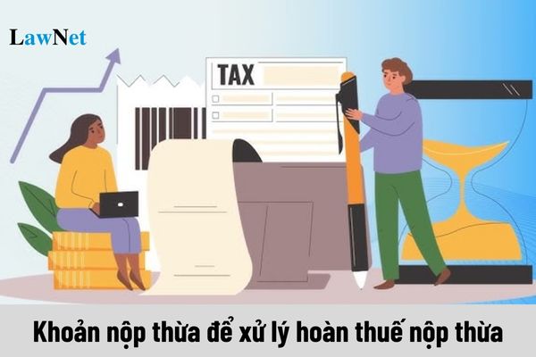 Thời điểm xác định khoản nộp thừa để xử lý hoàn thuế nộp thừa?