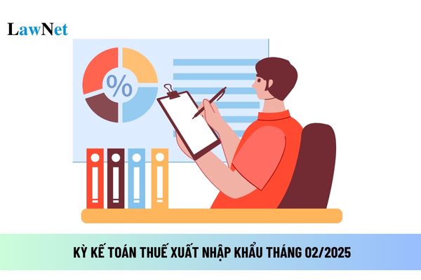 Kỳ kế toán thuế xuất nhập khẩu tháng 02/2025