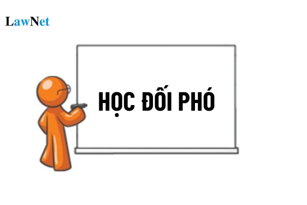 Mẫu bài văn nghị luận xã hội về tình trạng học đối phó ngắn gọn điểm cao?