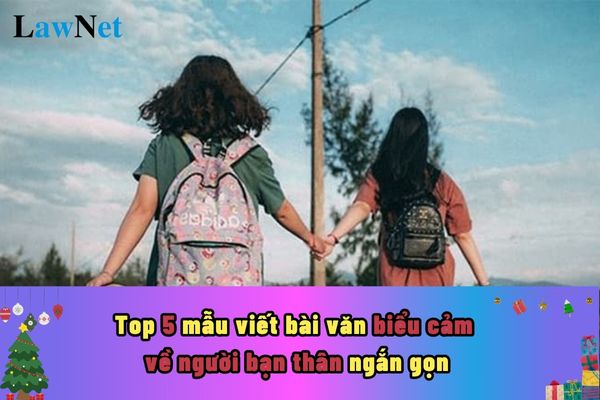 Top 5 mẫu viết bài văn biểu cảm về người bạn thân ngắn gọn? Học sinh không tham gia kiểm tra vì sự cố bất khả kháng thì giải quyết như thế nào?