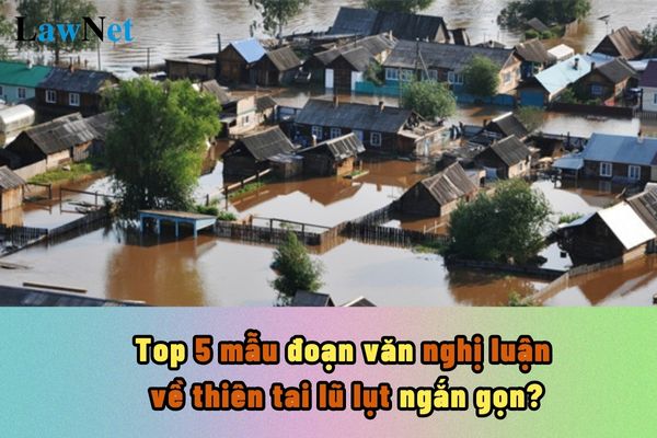 Top 5 mẫu đoạn văn nghị luận về thiên tai lũ lụt ngắn gọn? Quy định về yêu cầu trong đánh giá học sinh THCS ra sao?