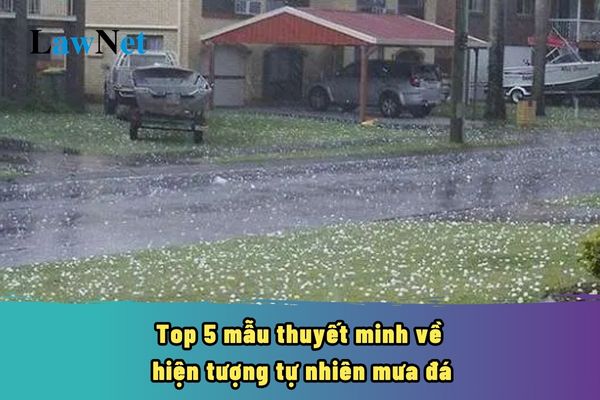 Top 5 mẫu thuyết minh về hiện tượng tự nhiên mưa đá? Học sinh lớp 8 cần phải đạt liên hệ, so sánh, kết nối các vấn đề trong môn Ngữ văn như thế nào?