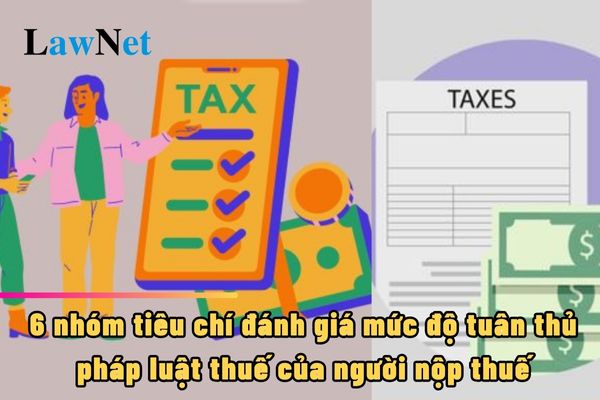 6 nhóm tiêu chí đánh giá mức độ tuân thủ pháp luật thuế của người nộp thuế ra sao?