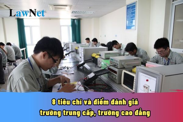 8 tiêu chí và điểm đánh giá trường trung cấp, trường cao đẳng theo Thông tư 44/2024/TT-BLĐTBXH mới nhất?