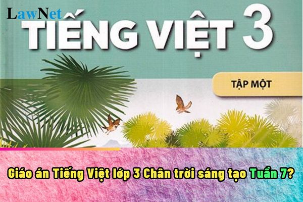 Giáo án Tiếng Việt lớp 3 Chân trời sáng tạo Tuần 7?