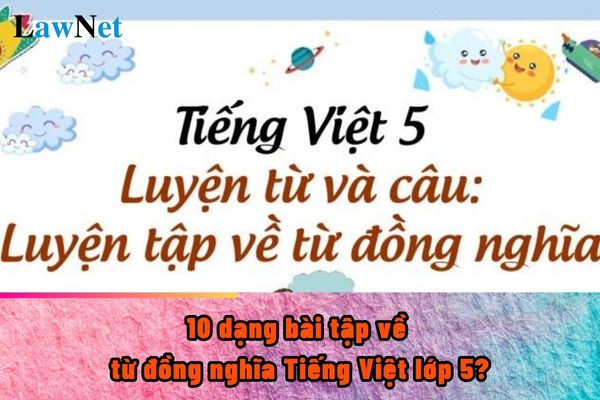 10 types of exercises on synonyms for 5th-grade Vietnamese? Requirements for writing skills when learning 5th-grade Vietnamese.