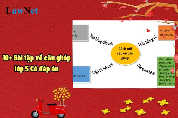 10+ Bài tập về câu ghép lớp 5 Có đáp án? Chương trình giáo dục lớp 5 phải mang tính kế thừa đúng không?