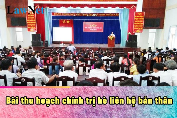 Bài thu hoạch chính trị hè liên hệ bản thân 2024?