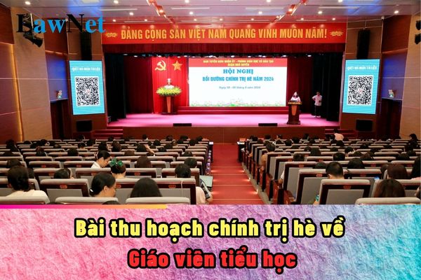 Bài thu hoạch chính trị hè 2024 giáo viên tiểu học?