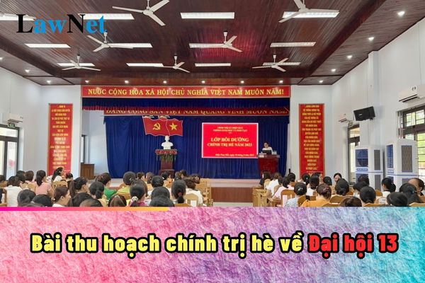 Bài thu hoạch chính trị hè về Đại hội 13 mới nhất?