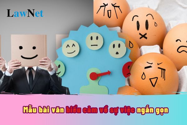 Mẫu bài văn biểu cảm về sự việc ngắn gọn? Bài văn biểu cảm sẽ được thực hành trong chương trình Ngữ Văn lớp 7?