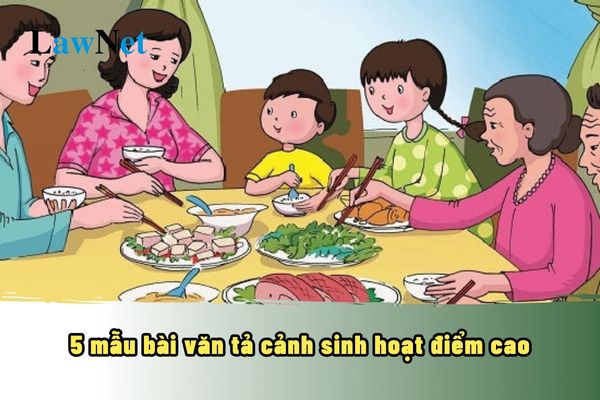 5 mẫu bài văn tả cảnh sinh hoạt điểm cao? Quy định về tuổi của học sinh trường trung học?