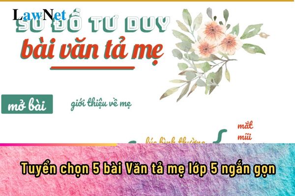 Tuyển chọn 5 bài Văn tả mẹ lớp 5 ngắn gọn?