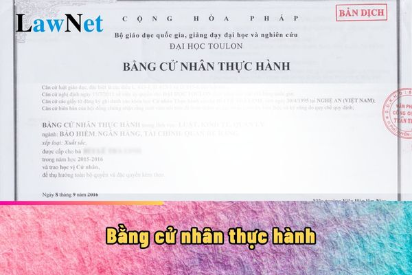 Bằng cử nhân thực hành có phải là bằng đại học?