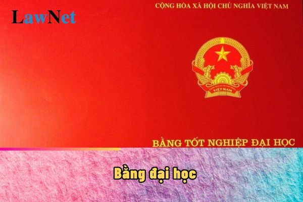 Bằng đại học